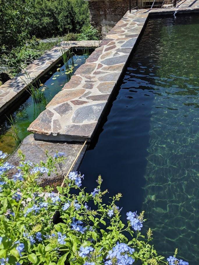 Bassin de Baignade de 6m x 3 m en Cévennes - Piscine Naturelle du Bruel