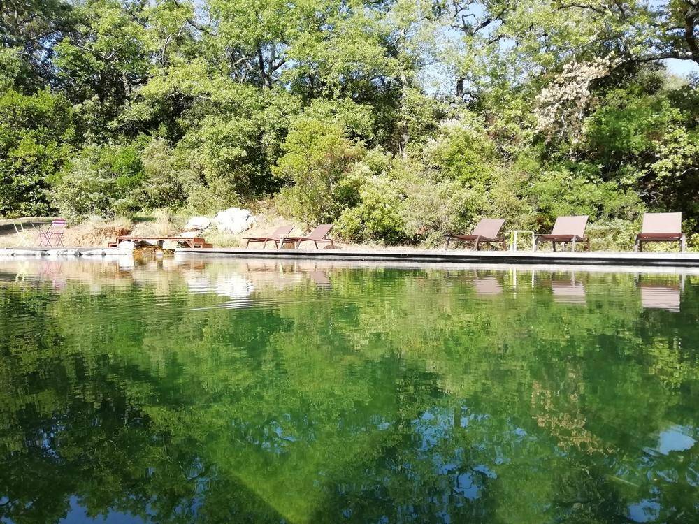 Bassin de Baignade de 16m x 7m- Piscine Naturelle du Bruel