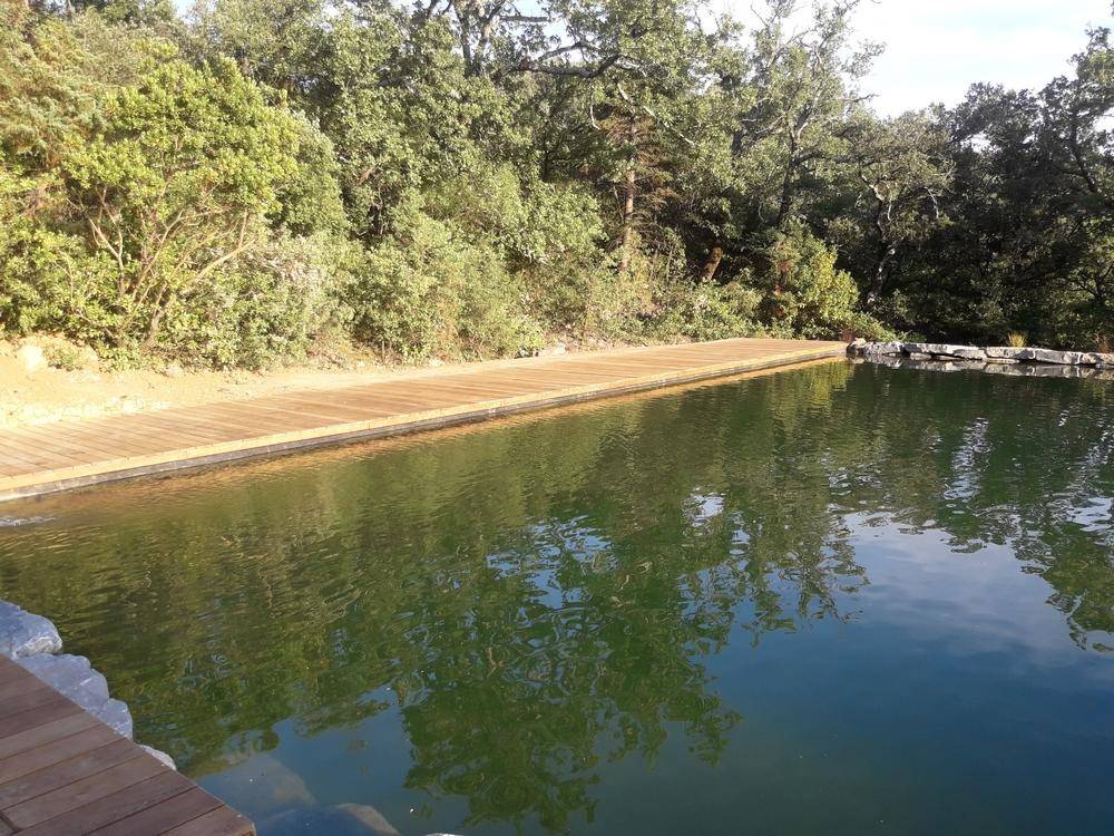 Bassin de Baignade de 16m x 7m- Piscine Naturelle du Bruel