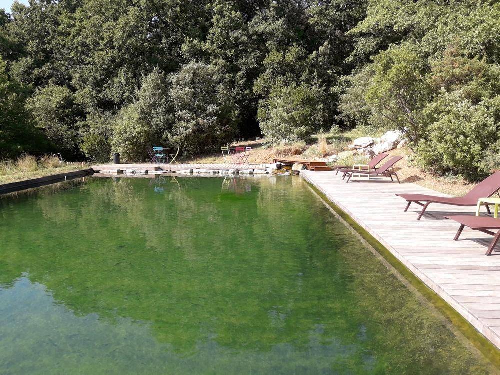 Bassin de Baignade de 16m x 7m- Piscine Naturelle du Bruel