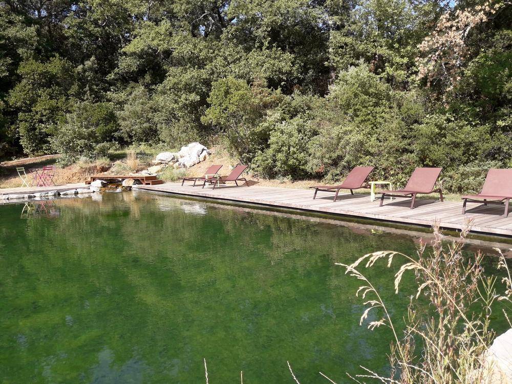 Bassin de Baignade de 16m x 7m- Piscine Naturelle du Bruel
