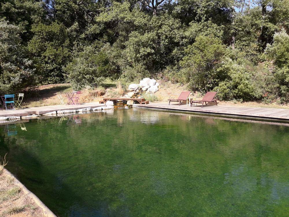 Bassin de Baignade de 16m x 7m- Piscine Naturelle du Bruel