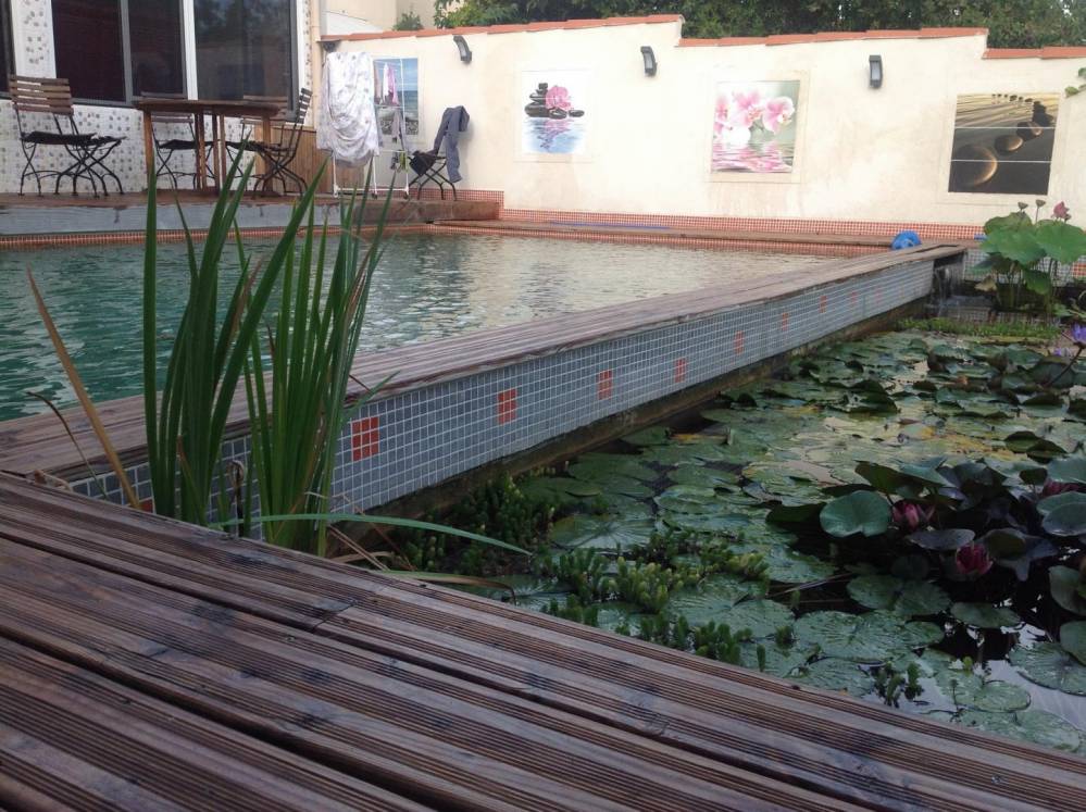 Piscine Naturelle dans un lotissement - Piscine Naturelle du Bruel