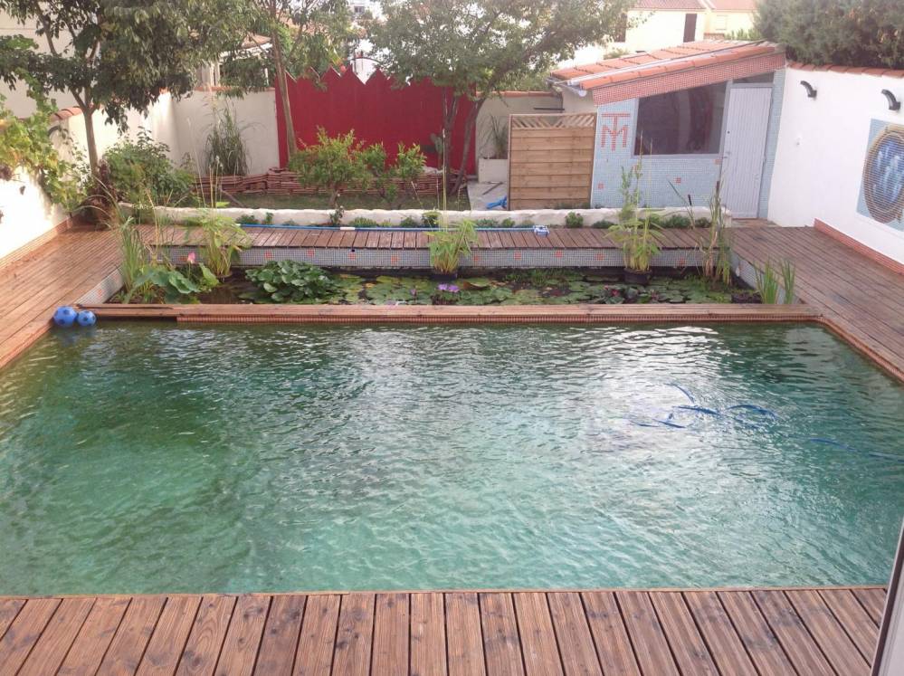 Piscine Naturelle dans un lotissement - Piscine Naturelle du Bruel
