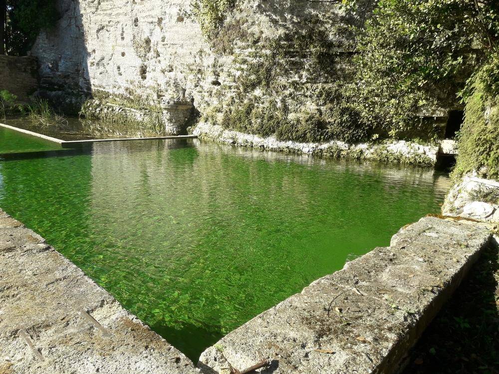 Modification d'un bassin d'irrigation Piscine Naturelle du Bruel