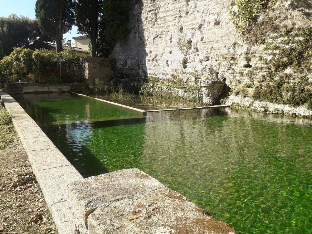 Modification d'un bassin d'irrigation Piscine Naturelle du Bruel