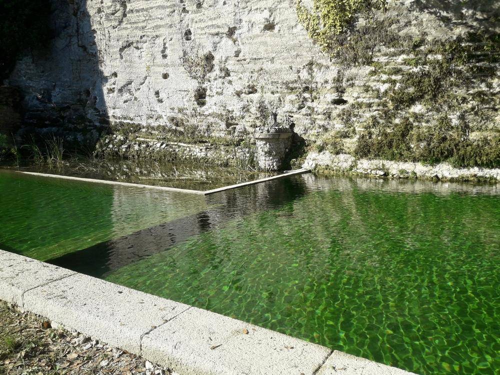 Modification d'un bassin d'irrigation Piscine Naturelle du Bruel