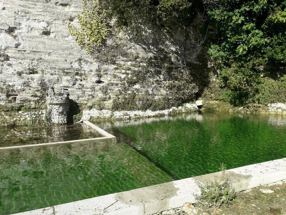 Modification d'un bassin d'irrigation Piscine Naturelle du Bruel