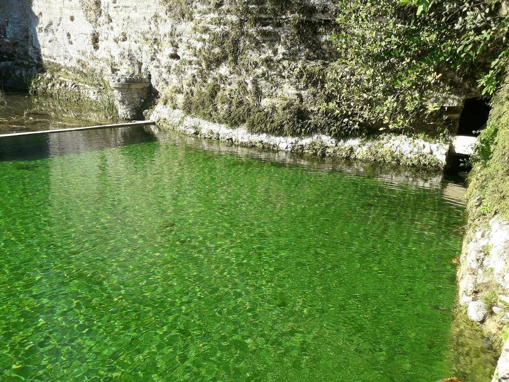 Modification d'un bassin d'irrigation Piscine Naturelle du Bruel