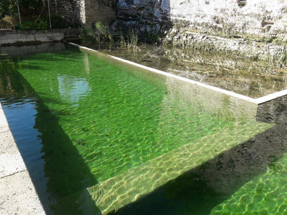 Modification d'un bassin d'irrigation Piscine Naturelle du Bruel
