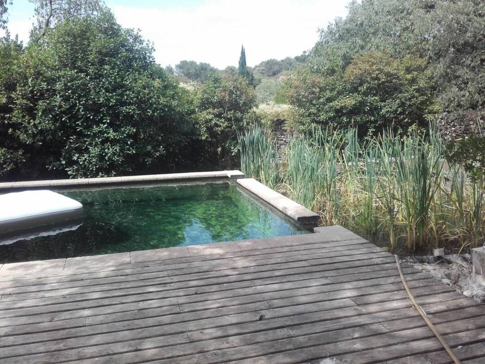 Bassin à Nîmes - Piscine Naturelle du Bruel