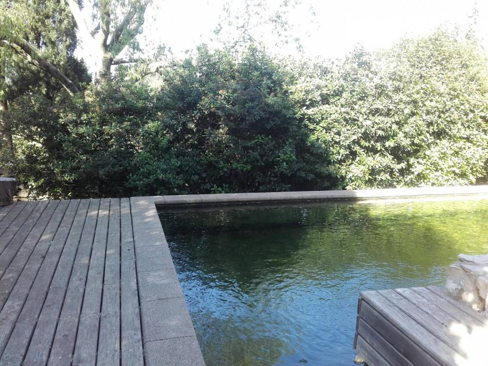 Bassin à Nîmes - Piscine Naturelle du Bruel