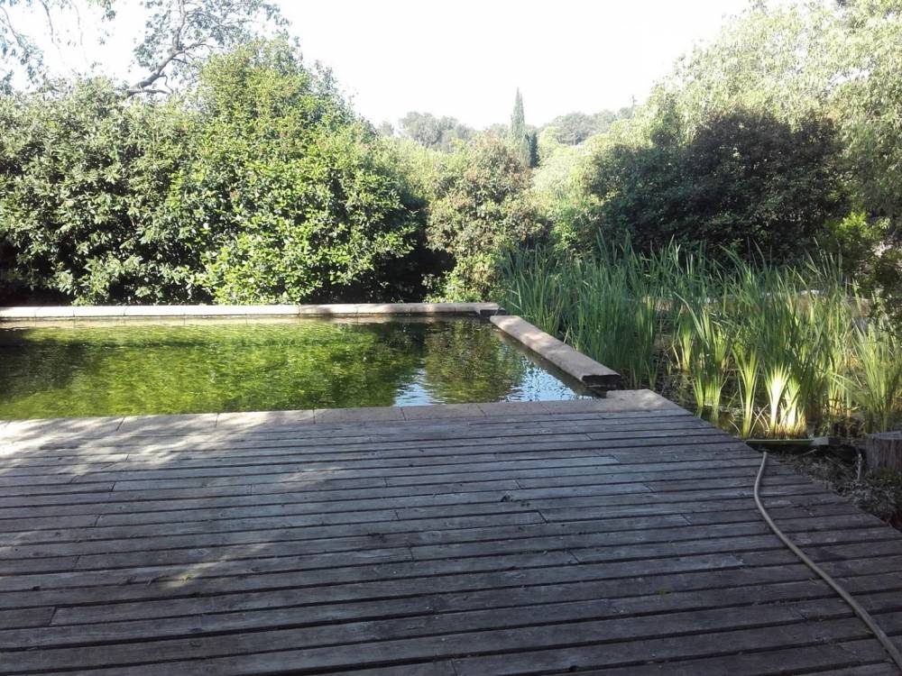 Bassin à Nîmes - Piscine Naturelle du Bruel
