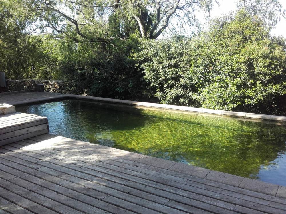 Bassin à Nîmes - Piscine Naturelle du Bruel