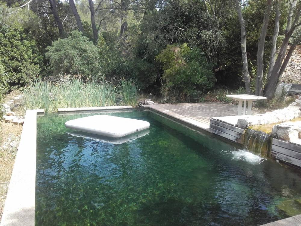 Bassin à Nîmes - Piscine Naturelle du Bruel
