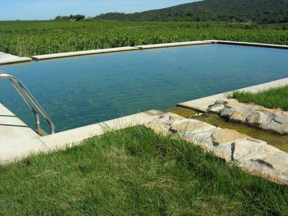 Bassin Vignoble Rhodanien - Piscine Naturelle du Bruel