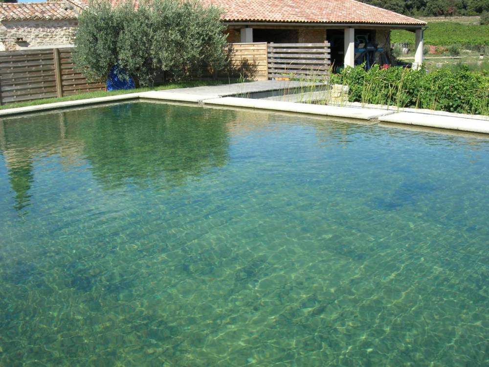 Bassin Vignoble Rhodanien - Piscine Naturelle du Bruel