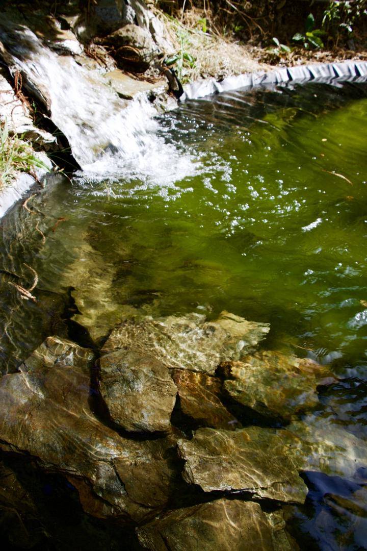 Piscine avec des murs en pierres en Cévennes - Piscine Naturelle du Bruel