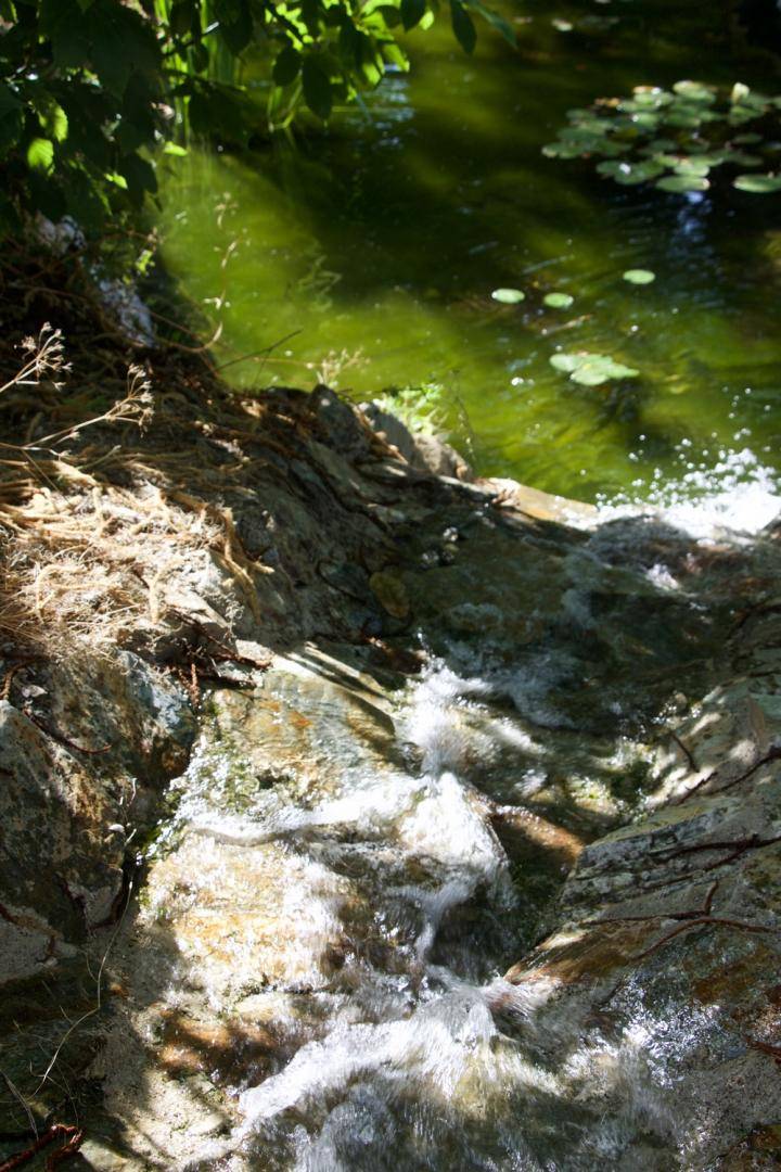 Piscine avec des murs en pierres en Cévennes - Piscine Naturelle du Bruel