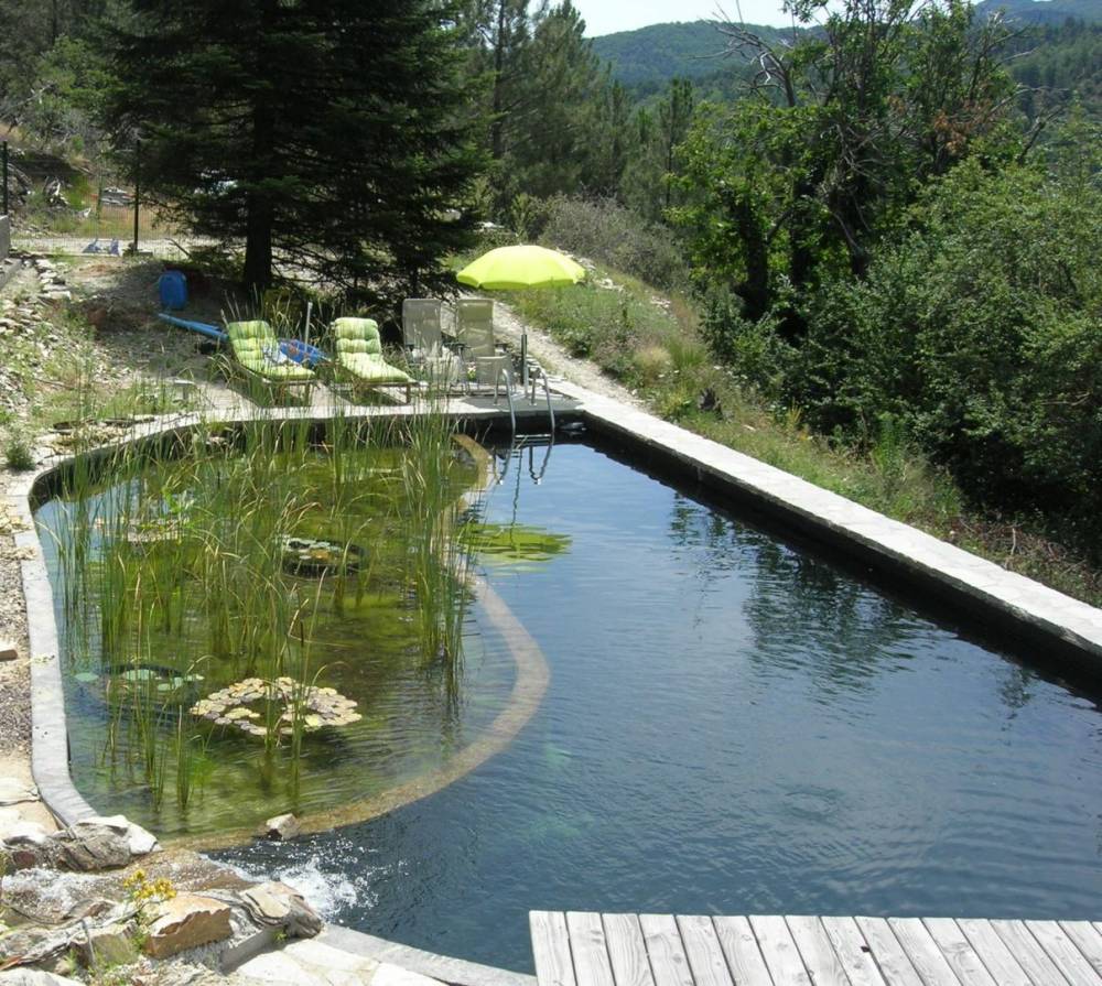 Piscine Dans la plaine vers Pompignan - Piscine Naturelle du Bruel