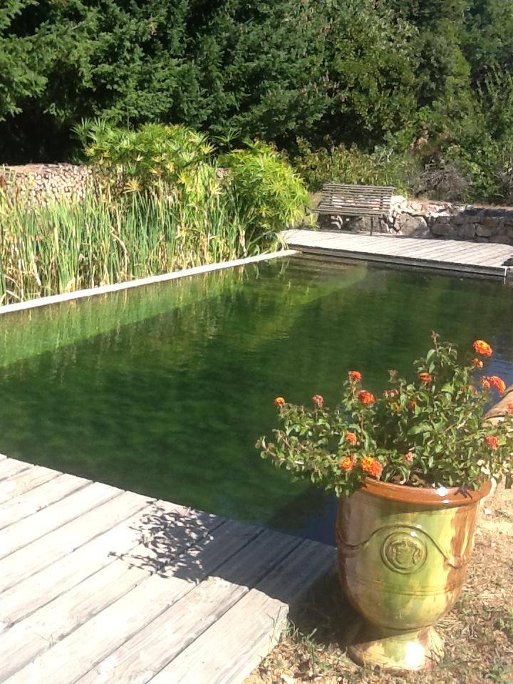 Bassin de baignade en Cévennes - Piscine Naturelle du Bruel