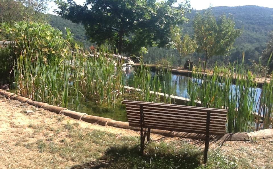 Bassin de baignade en Cévennes - Piscine Naturelle du Bruel