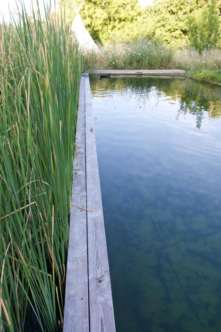 Une Baignade dans une aire naturelle - Piscine Naturelle du Bruel