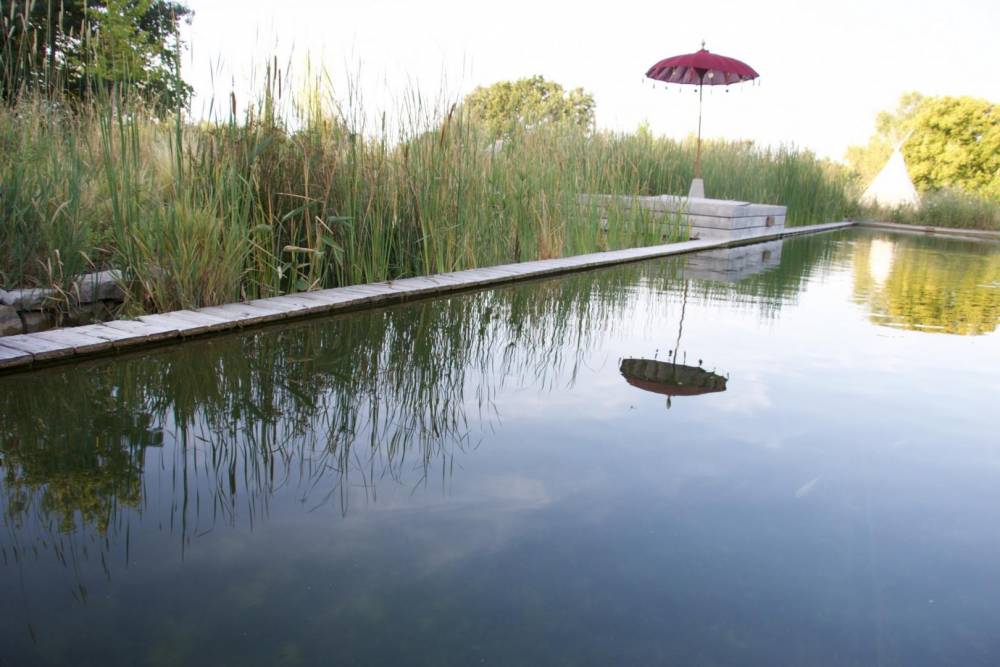 Une Baignade dans une aire naturelle - Piscine Naturelle du Bruel