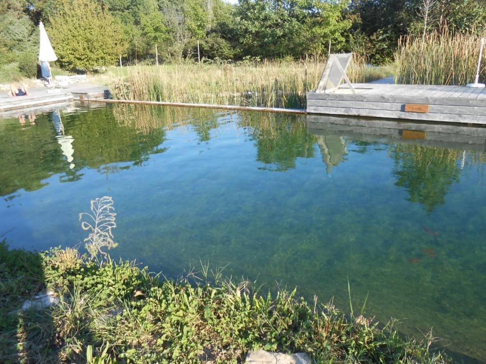 Une Baignade dans une aire naturelle - Piscine Naturelle du Bruel