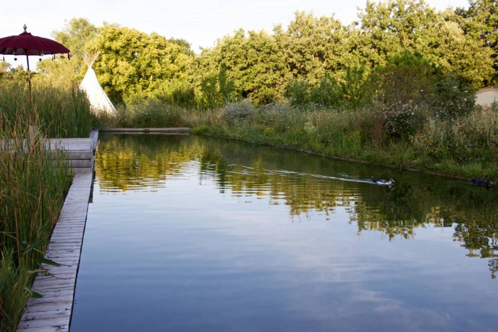 Une Baignade dans une aire naturelle - Piscine Naturelle du Bruel