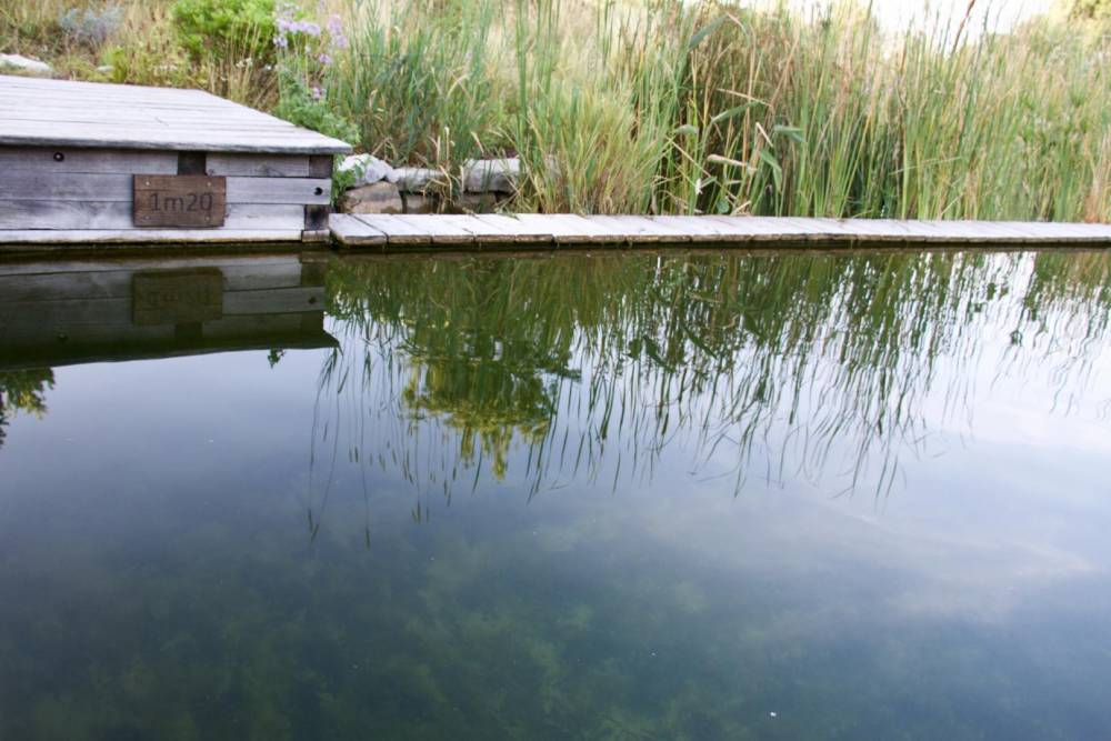 Une Baignade dans une aire naturelle - Piscine Naturelle du Bruel