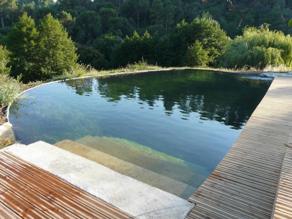 Bassin de Baignade de 10m x 5m en Cévennes - Piscine Naturelle du Bruel