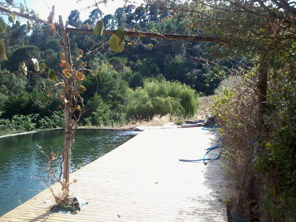 Bassin de Baignade de 10m x 5m en Cévennes - Piscine Naturelle du Bruel
