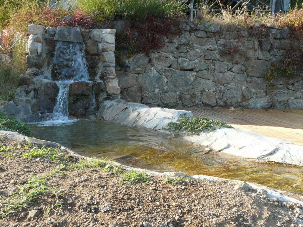 Bassin de Baignade de 10m x 5m en Cévennes - Piscine Naturelle du Bruel