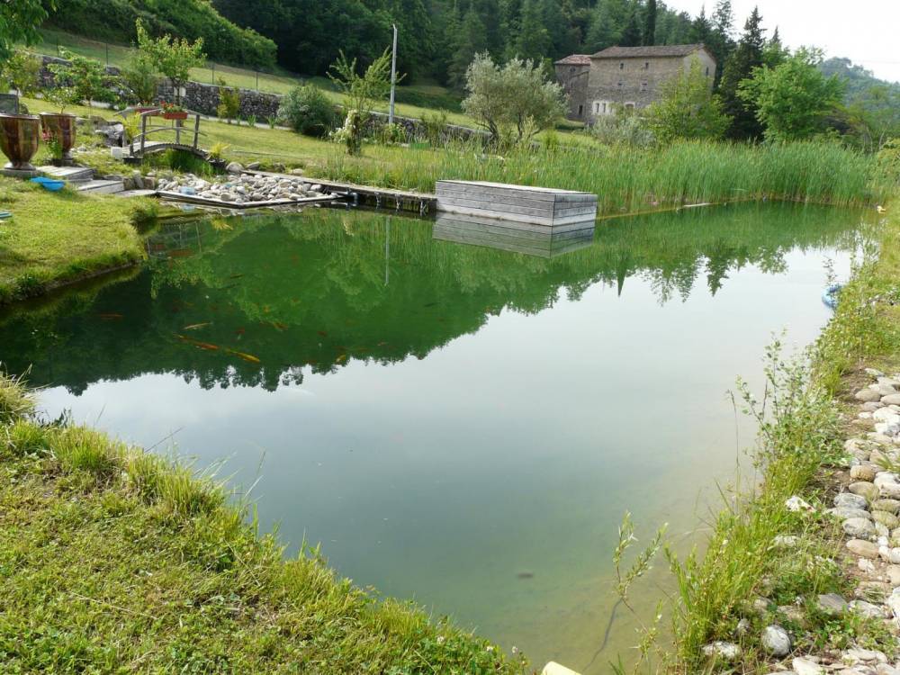 Première piscine en Cévennes - Piscine Naturelle du Bruel