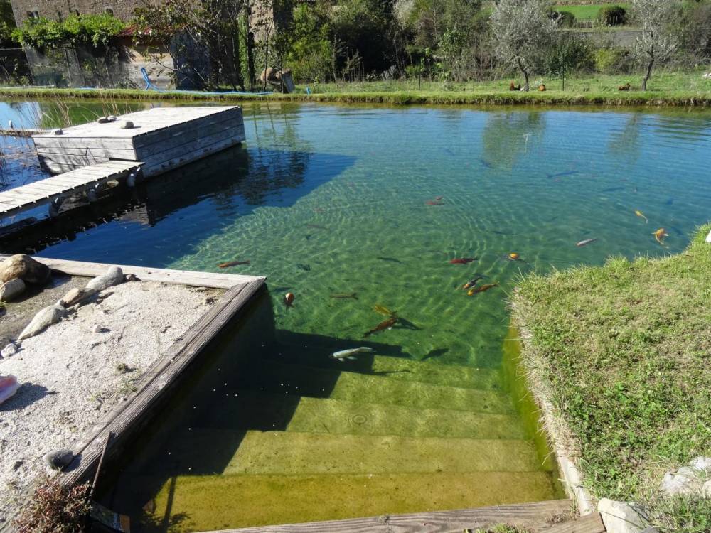 Première piscine en Cévennes - Piscine Naturelle du Bruel