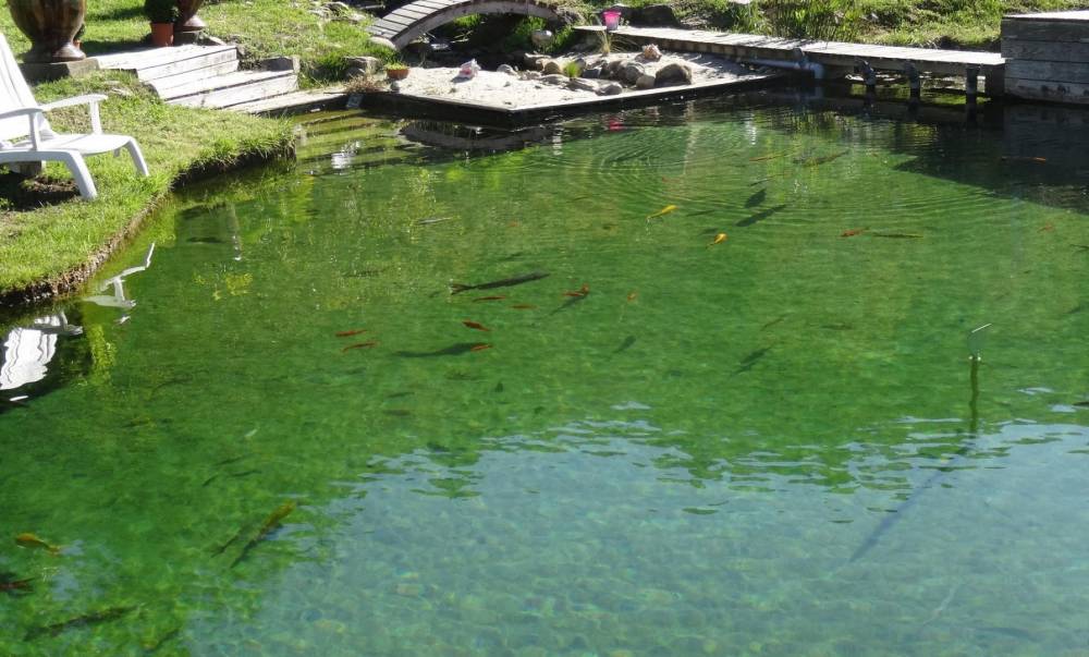 Première piscine en Cévennes - Piscine Naturelle du Bruel