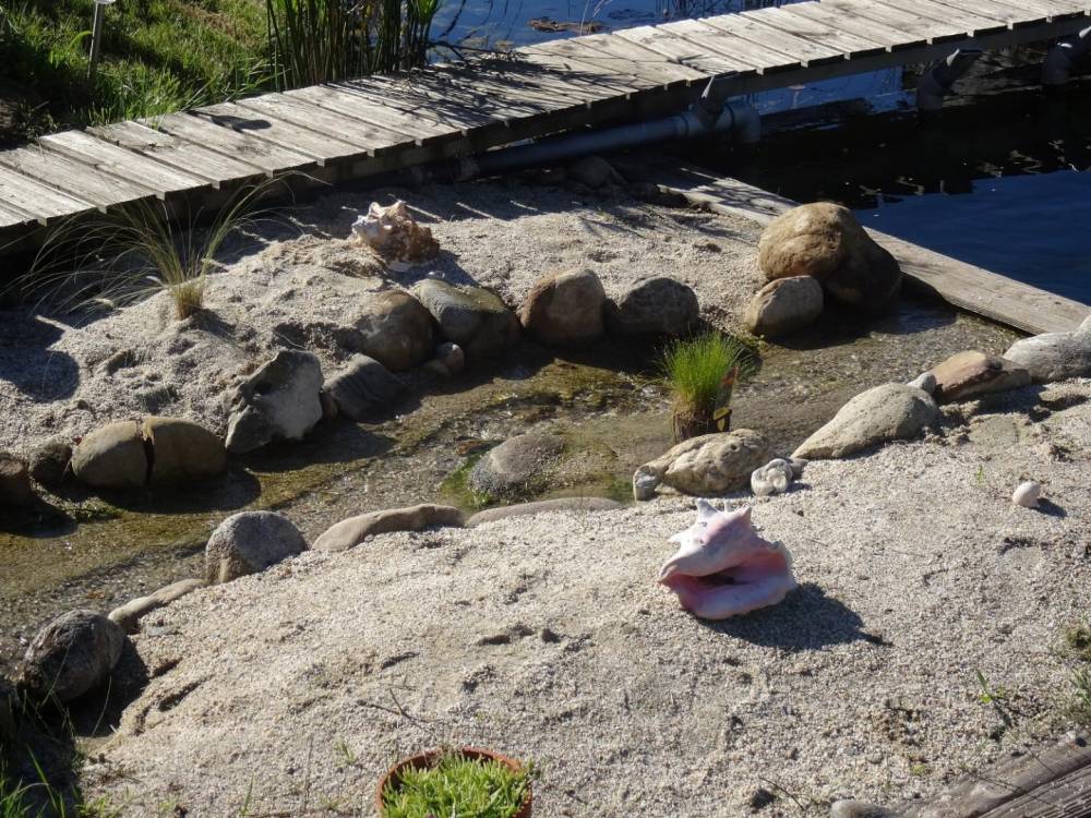 Première piscine en Cévennes - Piscine Naturelle du Bruel