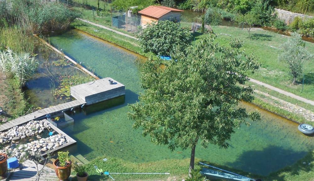 Première piscine en Cévennes - Piscine Naturelle du Bruel
