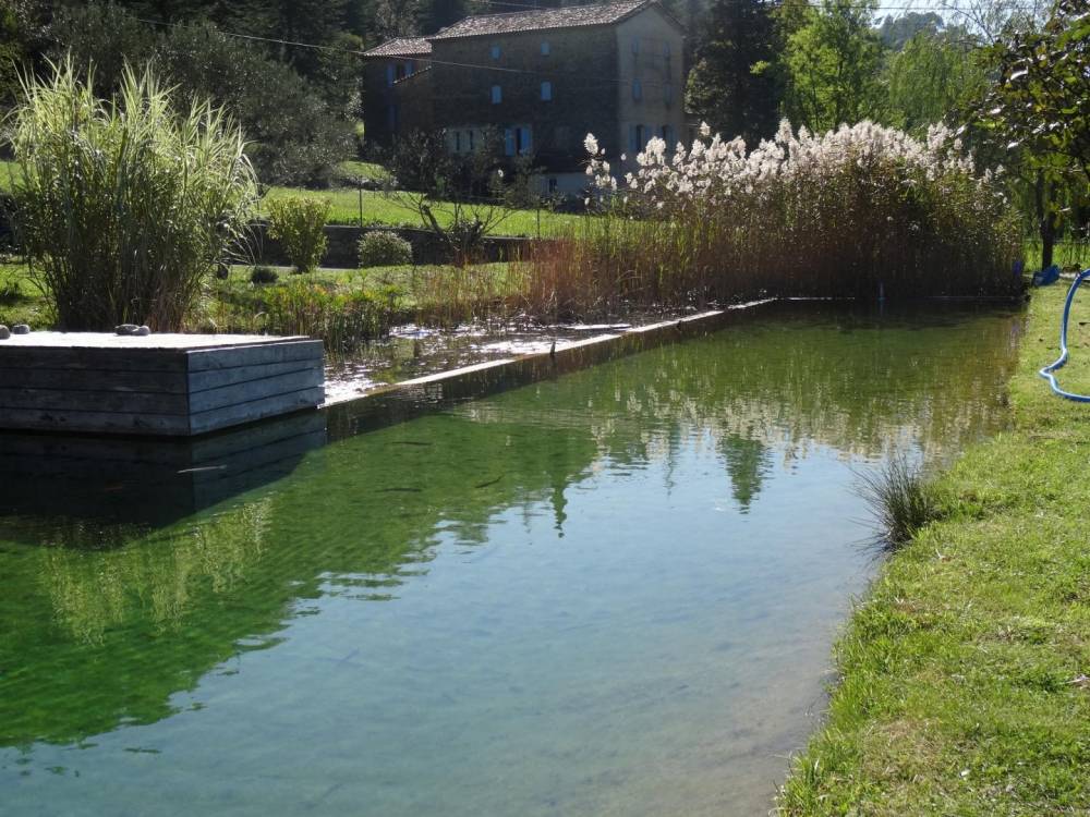 Première piscine en Cévennes - Piscine Naturelle du Bruel