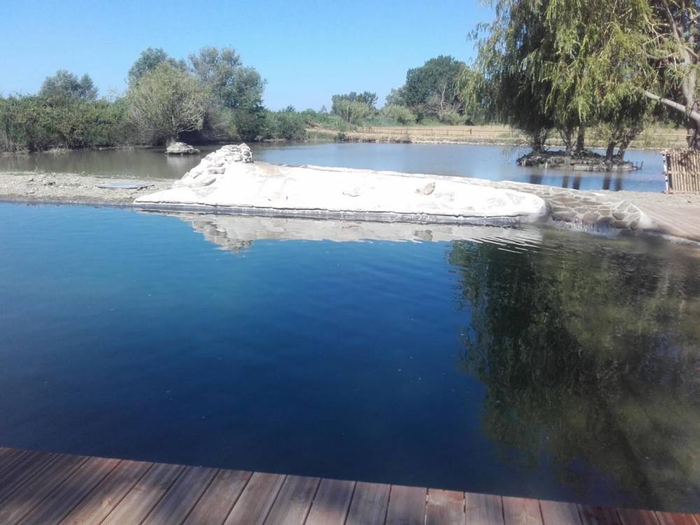 Piscine En Camargue - Piscine Naturelle du Bruel