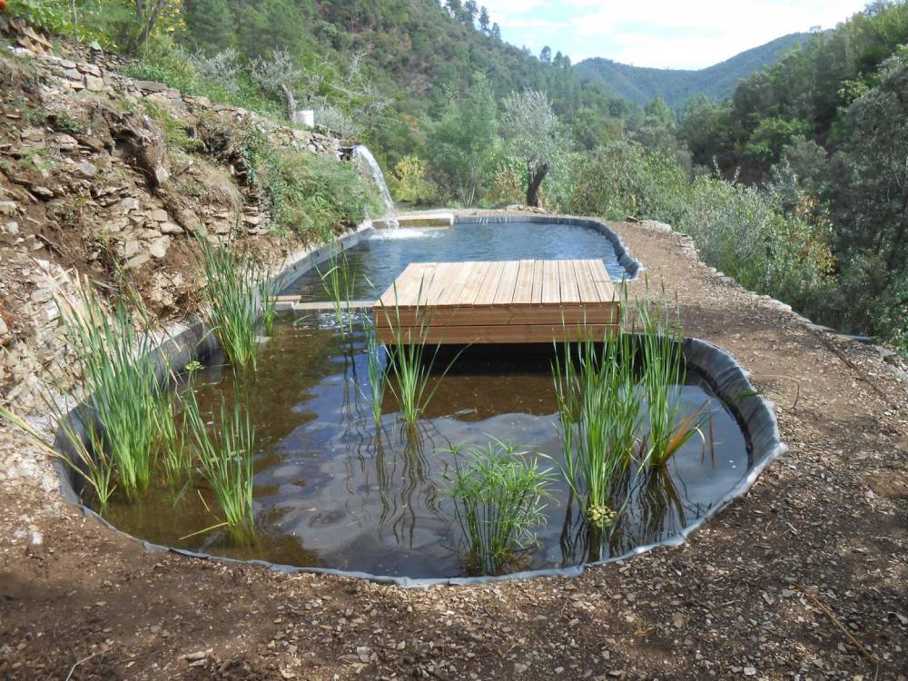 Petite piscine en Cévennes - Piscine Naturelle du Bruel