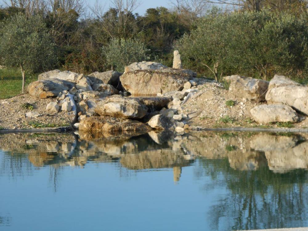Piscine dans la plaine viticole d'Uzès- Piscine Naturelle du Bruel