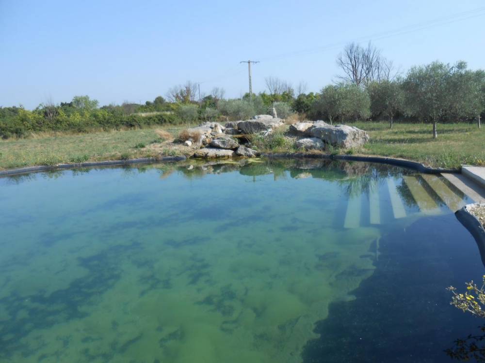 Piscine dans la plaine viticole d'Uzès- Piscine Naturelle du Bruel