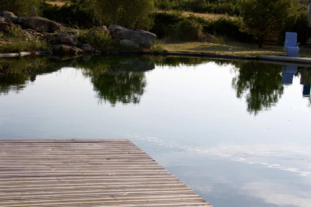Piscine dans la plaine viticole d'Uzès- Piscine Naturelle du Bruel