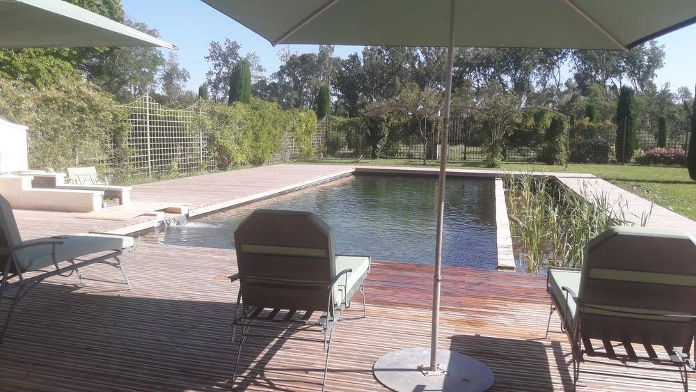 Grande piscine des années 60 transformée en piscine naturelle - Piscine Naturelle du Bruel