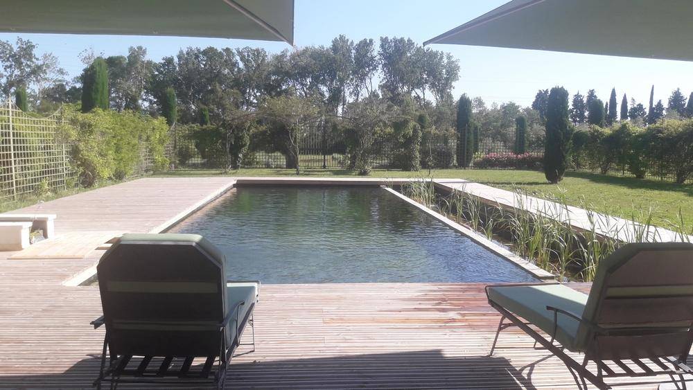 Grande piscine des années 60 transformée en piscine naturelle - Piscine Naturelle du Bruel