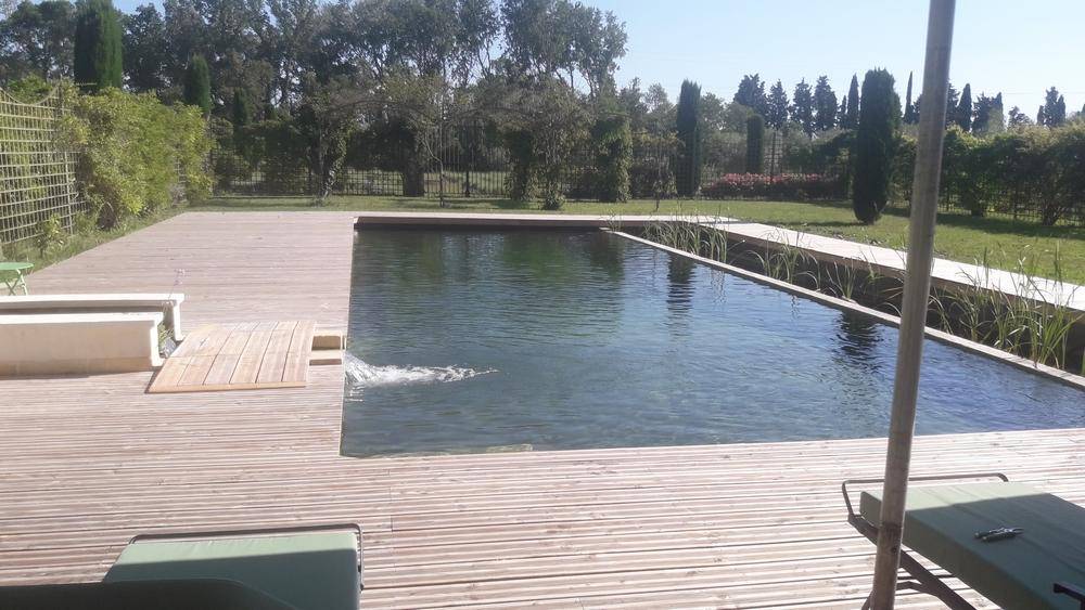 Grande piscine des années 60 transformée en piscine naturelle - Piscine Naturelle du Bruel