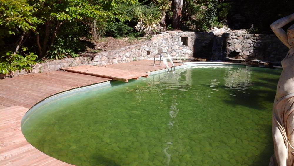 Piscine ovale des années 60 transformée en piscine naturelle - Piscine Naturelle du Bruel
