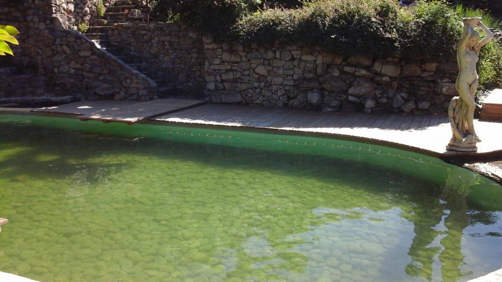 Piscine ovale des années 60 transformée en piscine naturelle - Piscine Naturelle du Bruel